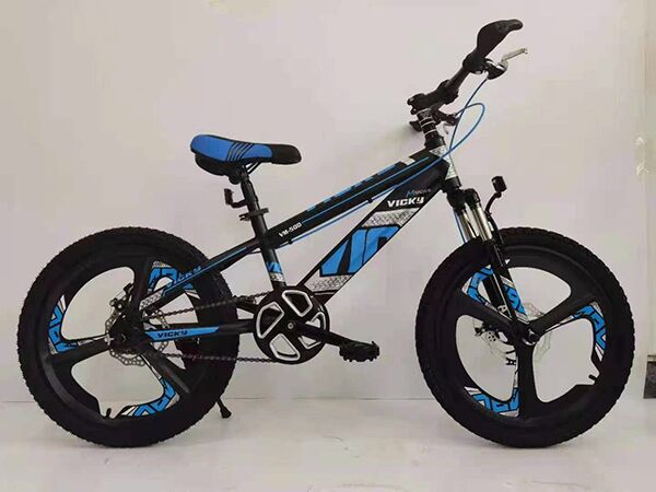 Xe đạp trẻ em Vicky VM500