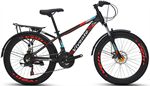 Xe đạp địa hình thể thao VIVENTE 24F2
