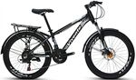 Xe đạp địa hình thể thao VIVENTE 24F2