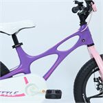 Xe đạp trẻ em RoyalBaby Shuttle