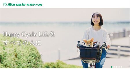 Xe đạp địa hình Nhật Bản? Xe đạp gấp Nhật bản? Xe đạp không xích Nhật bản có model hot nào?