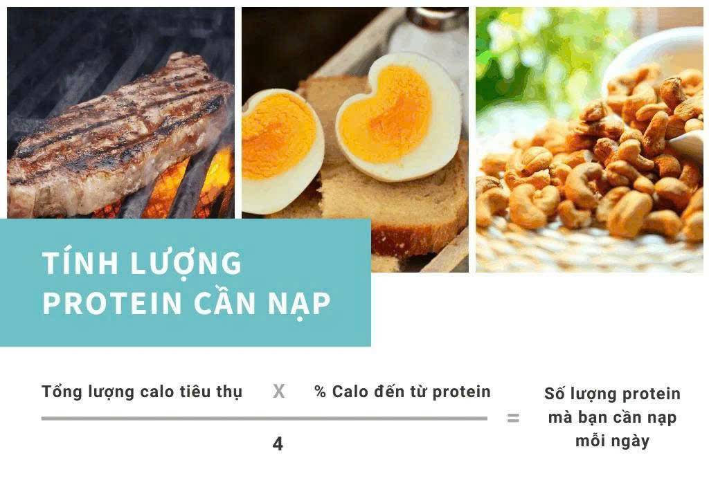 Tổng lượng protein mỗi ngày nên là bao nhiêu?