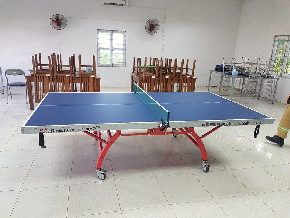 bàn bóng bàn Double Fish 323 2