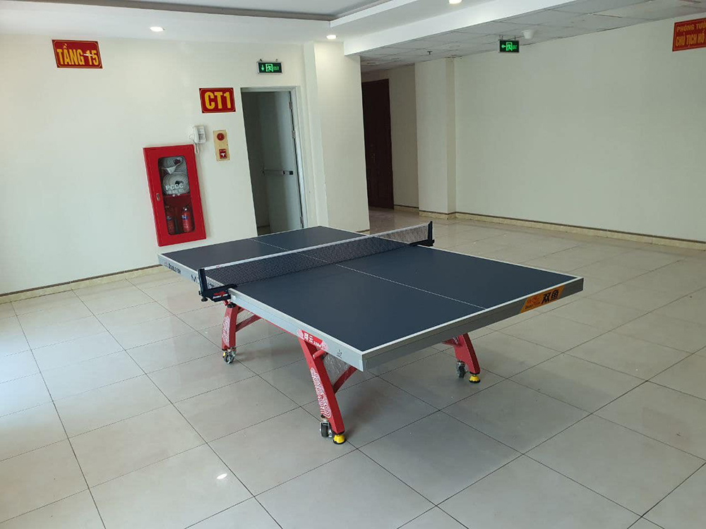 bàn bóng bàn Double Fish 328A 2