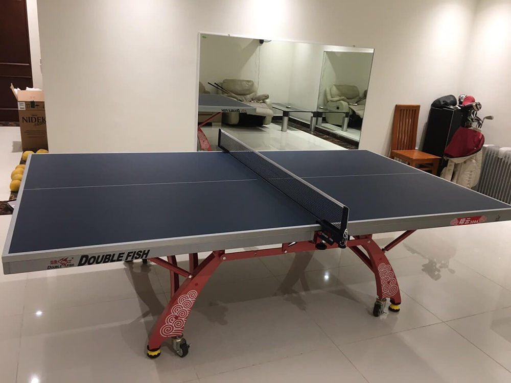 bàn bóng bàn Double Fish 328A 5