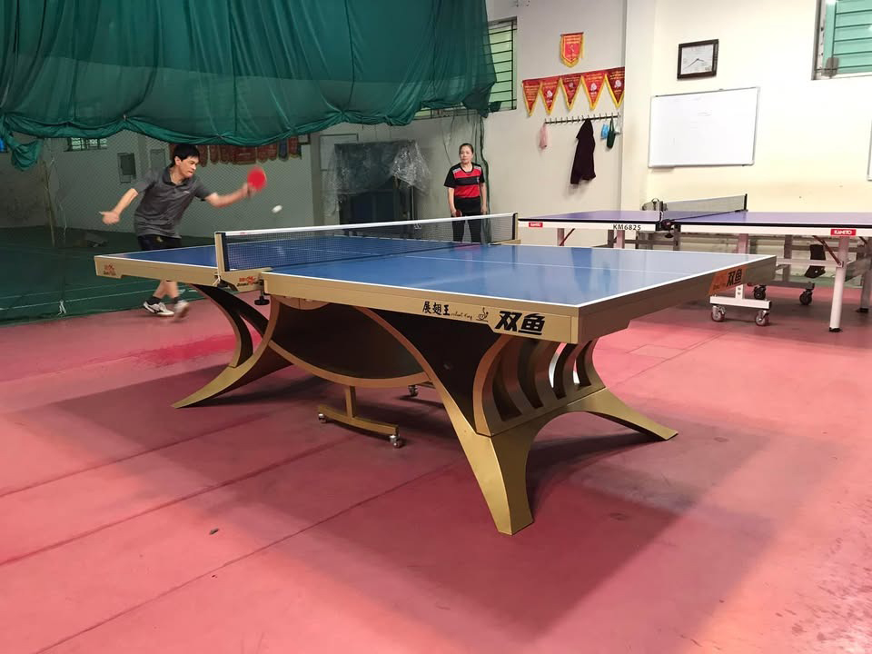 bàn bóng bàn Double Fish Volant King 3