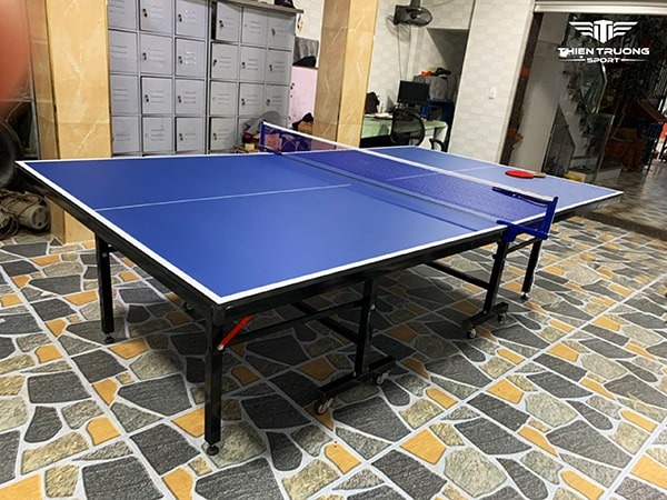 bàn bóng bàn Thiên Trường PT-02 4