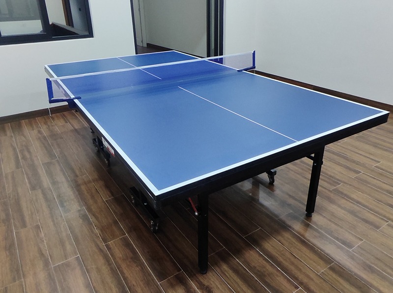 bàn bóng bàn Thiên Trường PT-05 2