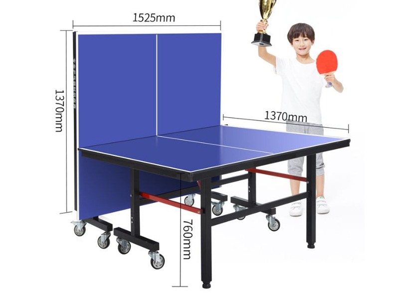 bàn bóng bàn Thiên Trường PT-05 4