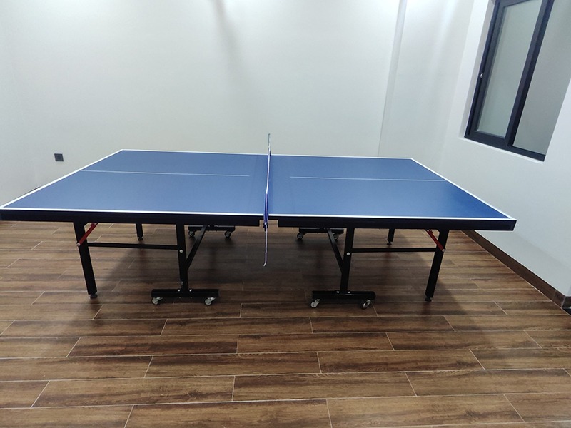 bàn bóng bàn Thiên Trường PT-05 6