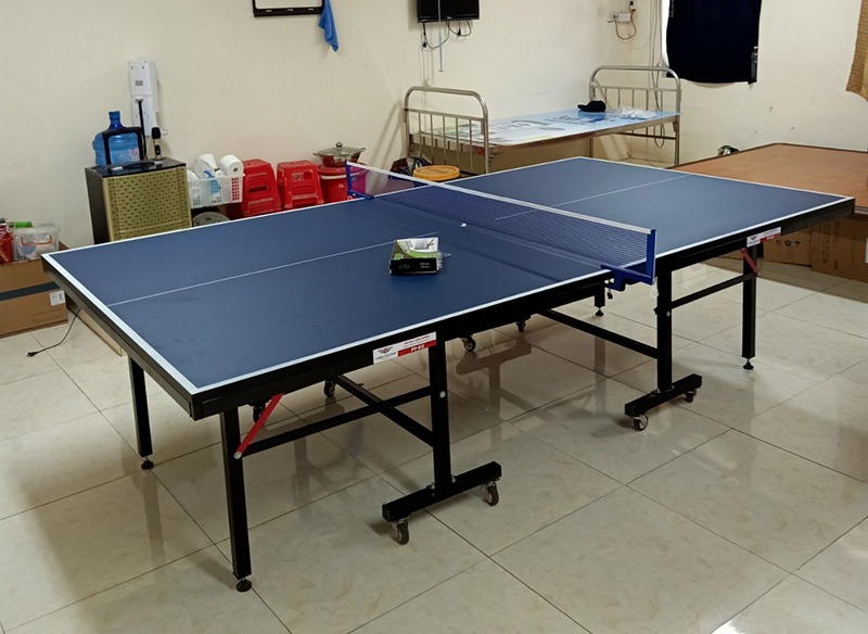 bàn bóng bàn Thiên Trường PT-05 7