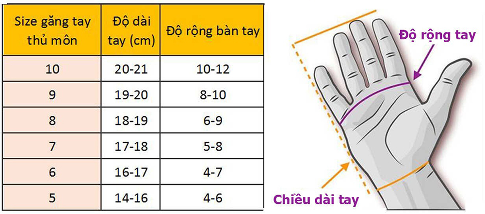bảng size găng tay thủ môn