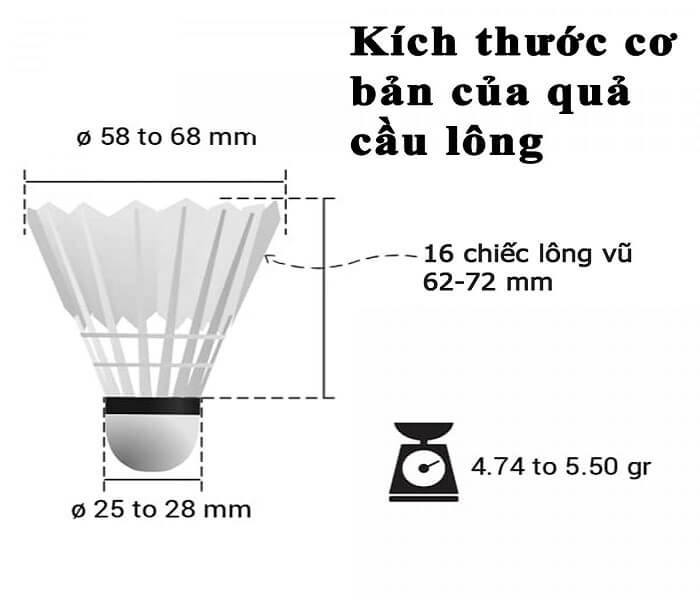 kích thước quả cầu lông