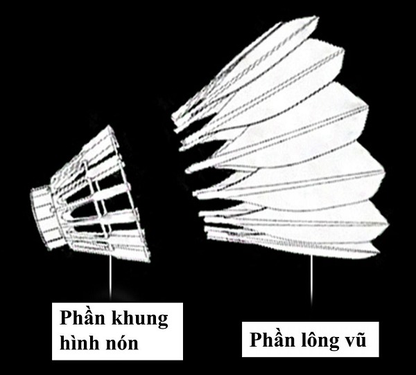 phần tán cầu lông