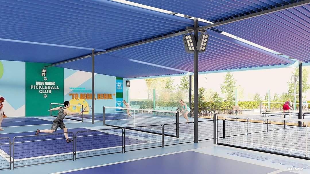 Thiết kế sân Pickleball