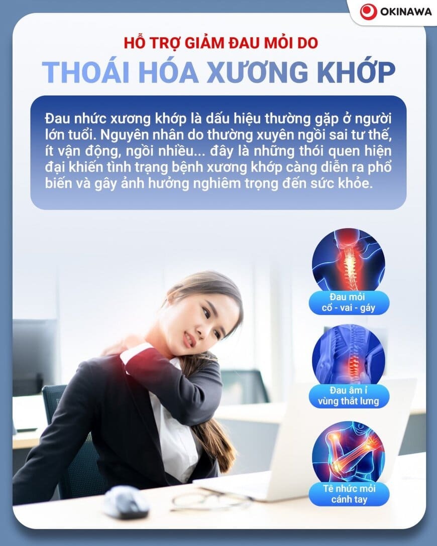 Ghế Massage Okinawa OS-313 6