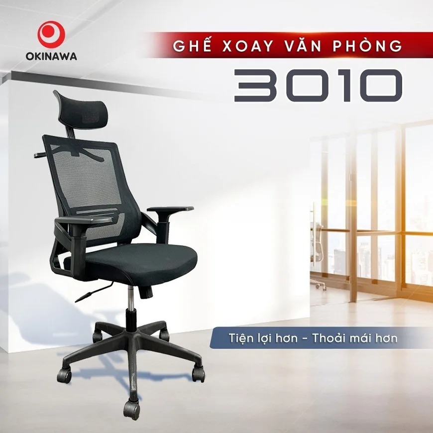 ghế công thái học Okinawa 3010 1