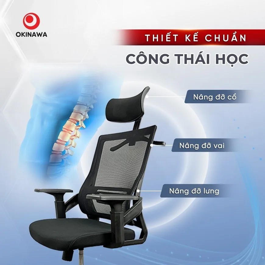 ghế công thái học Okinawa 3010 2