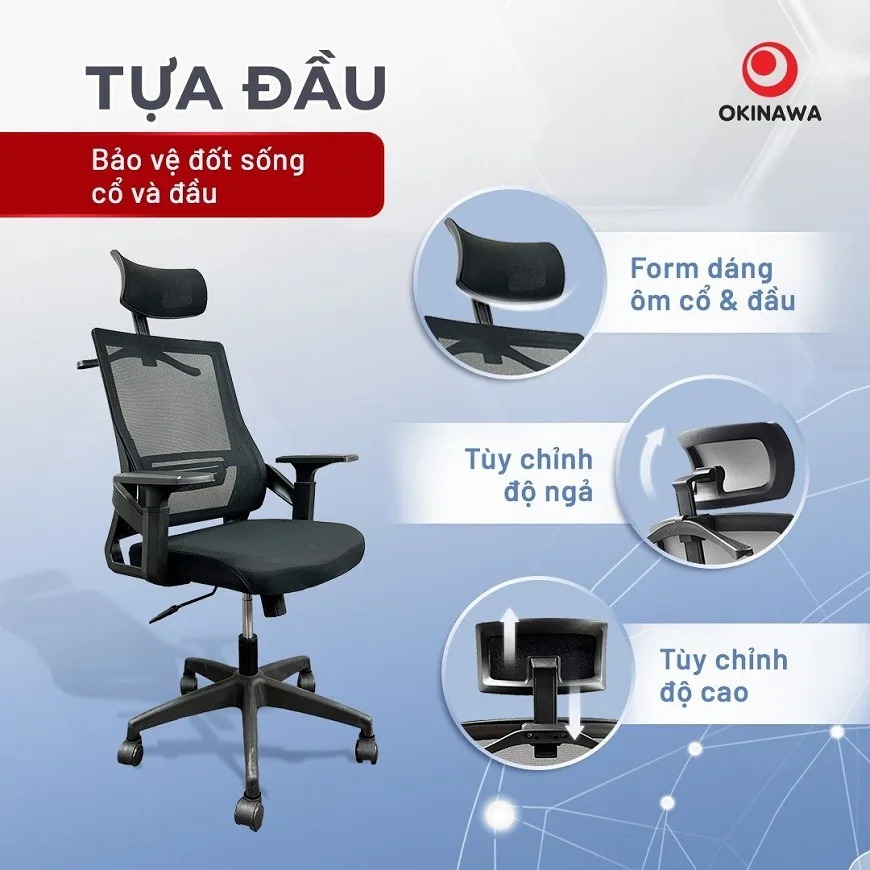 ghế công thái học Okinawa 3010 3