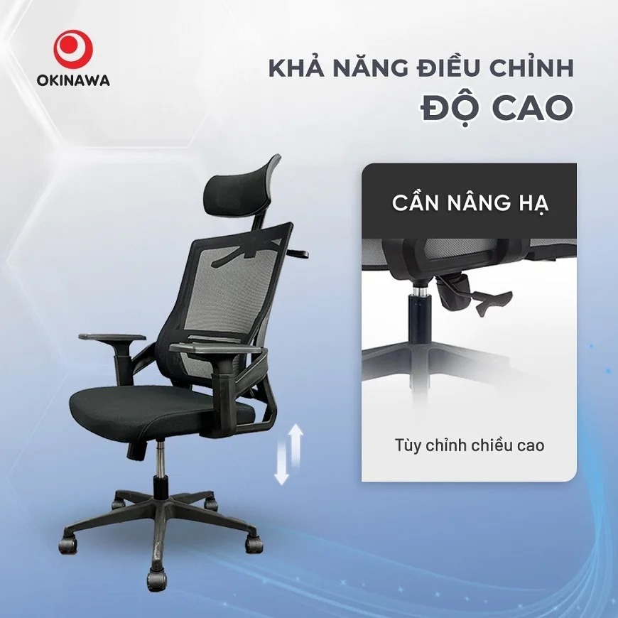 ghế công thái học Okinawa 3010 4