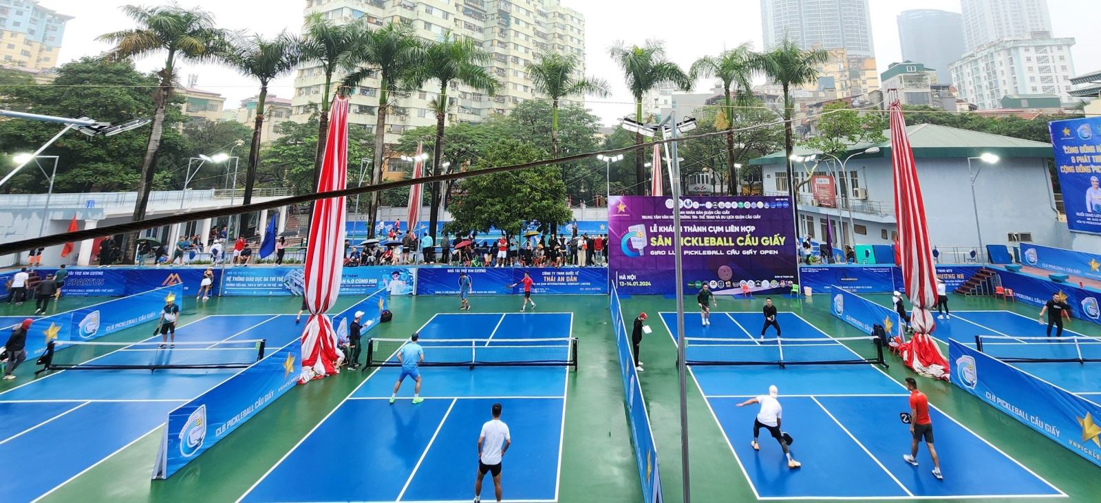 Giới thiệu chung về Pickleball tại Hà Nội 