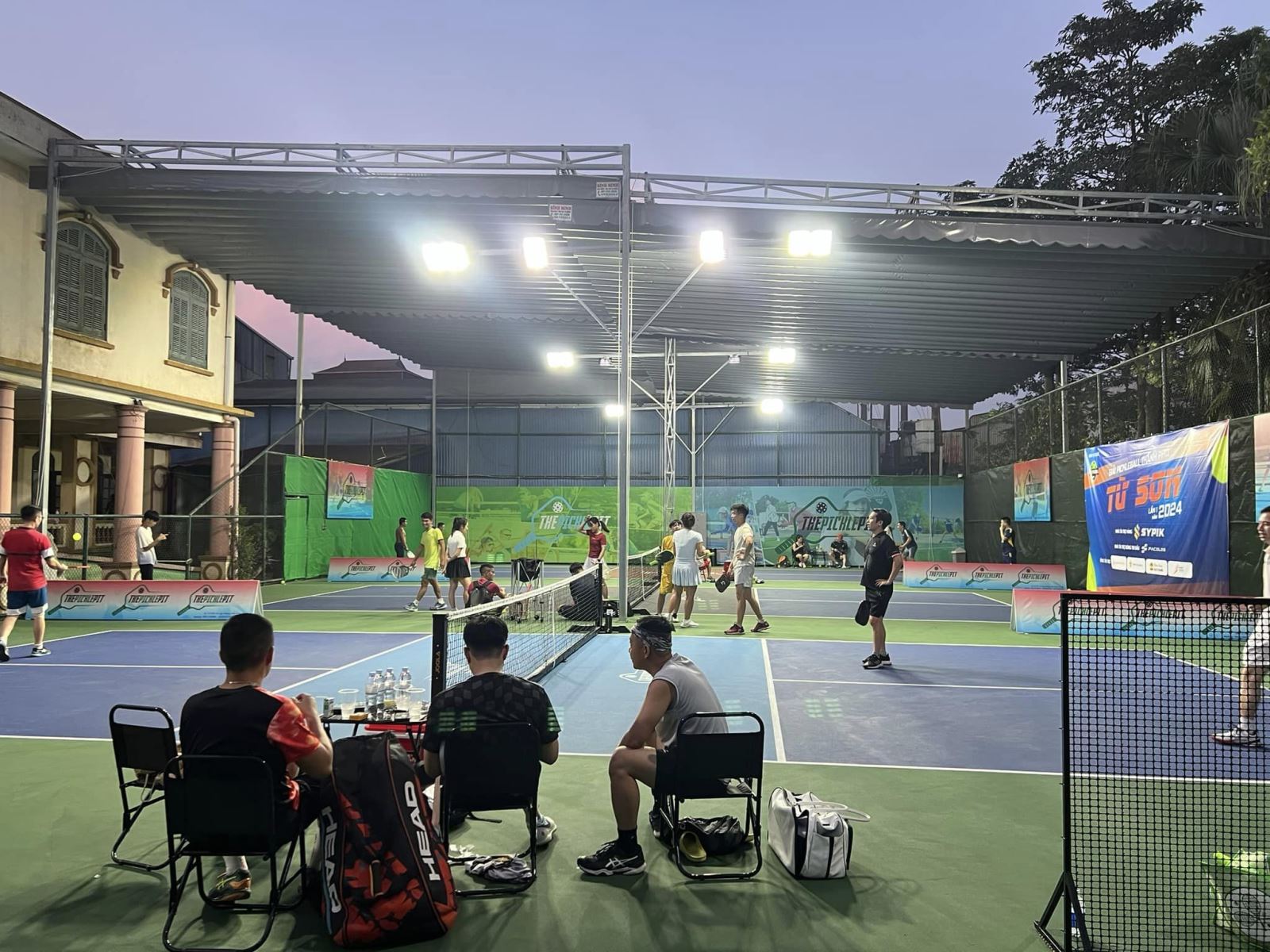 Sự gia tăng số lượng người chơi Pickleball