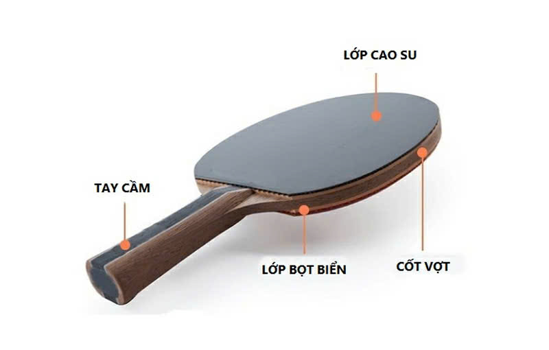 Chất liệu và cấu tạo của mặt vợt