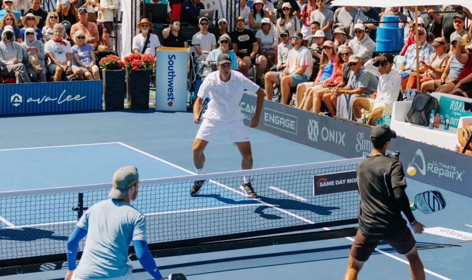 Cách chơi và luật chơi Pickleball