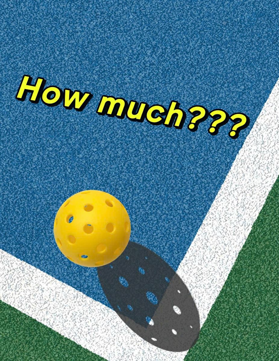 Lý do nhiều người quan tâm đến giá cả của bóng Pickleball