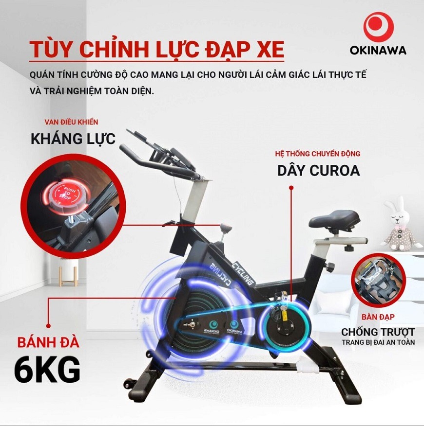 Xe đạp tập thể dục Okinawa OS-B03 2
