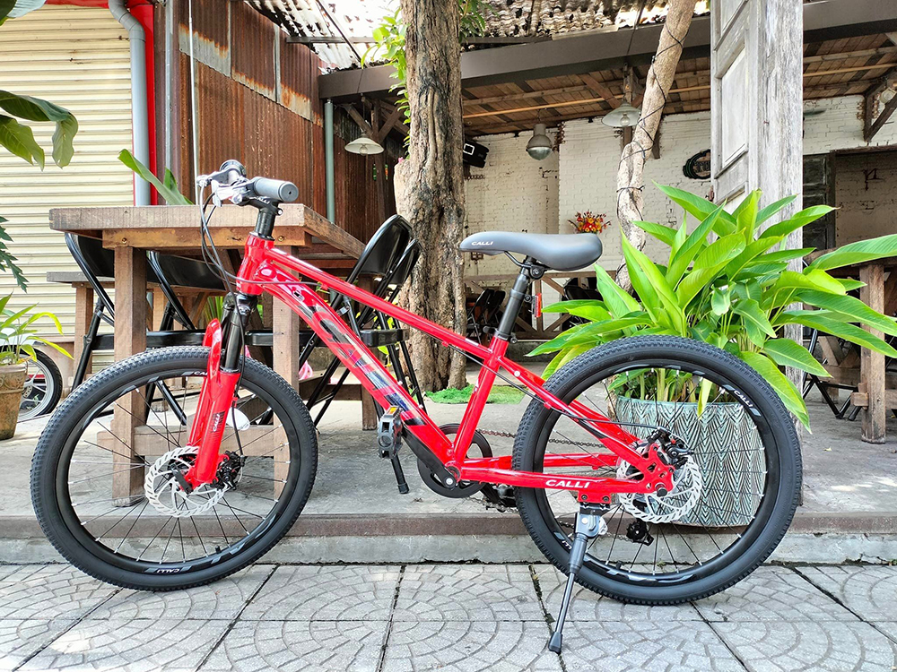 khung xe đạp trẻ em CALLI M320