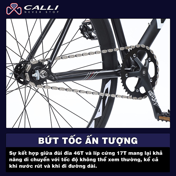 bộ truyền động xe đạp Fixed Gear CALLI F3000