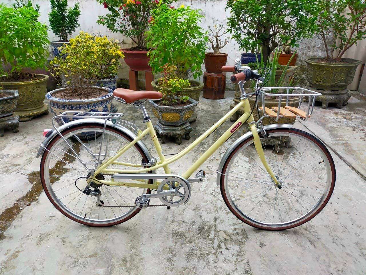 CALLI A6 mầu Vàng