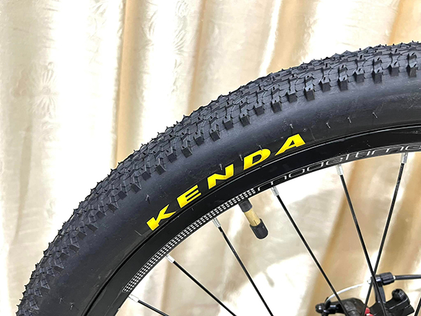 bánh xe đạp địa hình thể thao California Modeltime Durian 2023