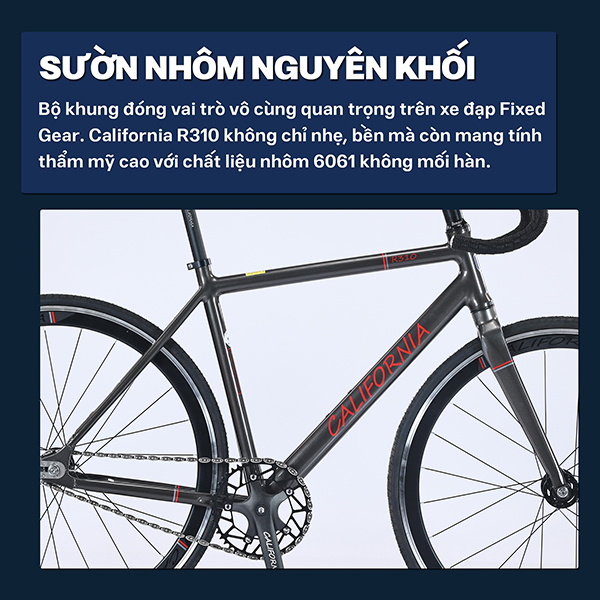 suờn xe đạp Fixed Gear California R310