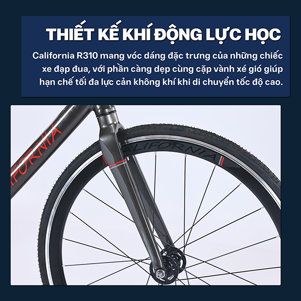 khung xe đạp Fixed Gear California R310