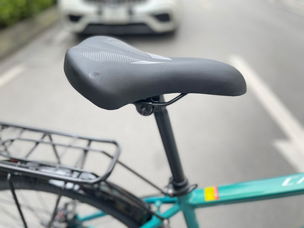 xe đạp địa hình thể thao California 230CC