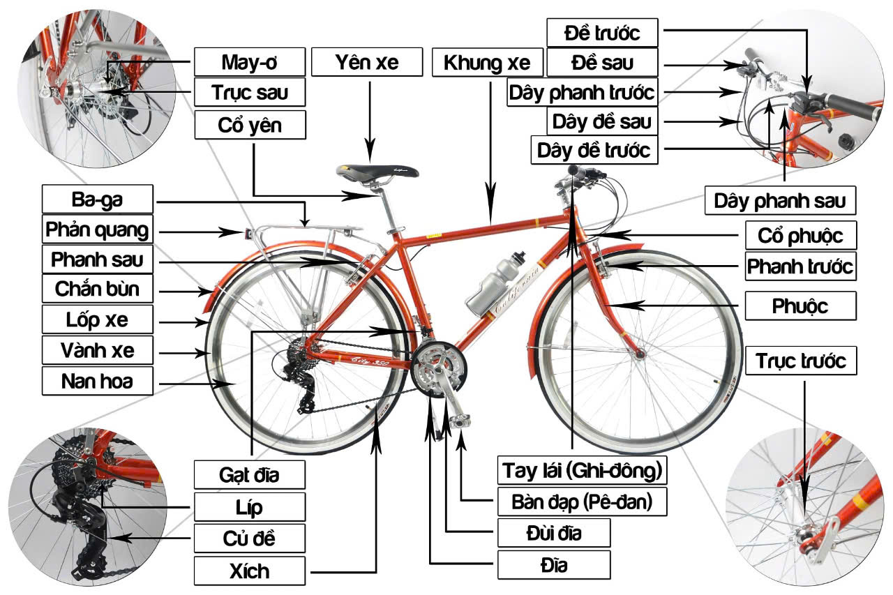 Tính năng và thiết kế của xe đạp Fixed Gear