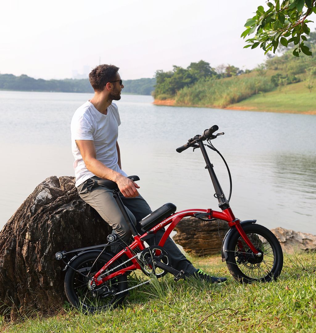 Giá cả và thương hiệu – Cân đối giữa ngân sách và chất lượng