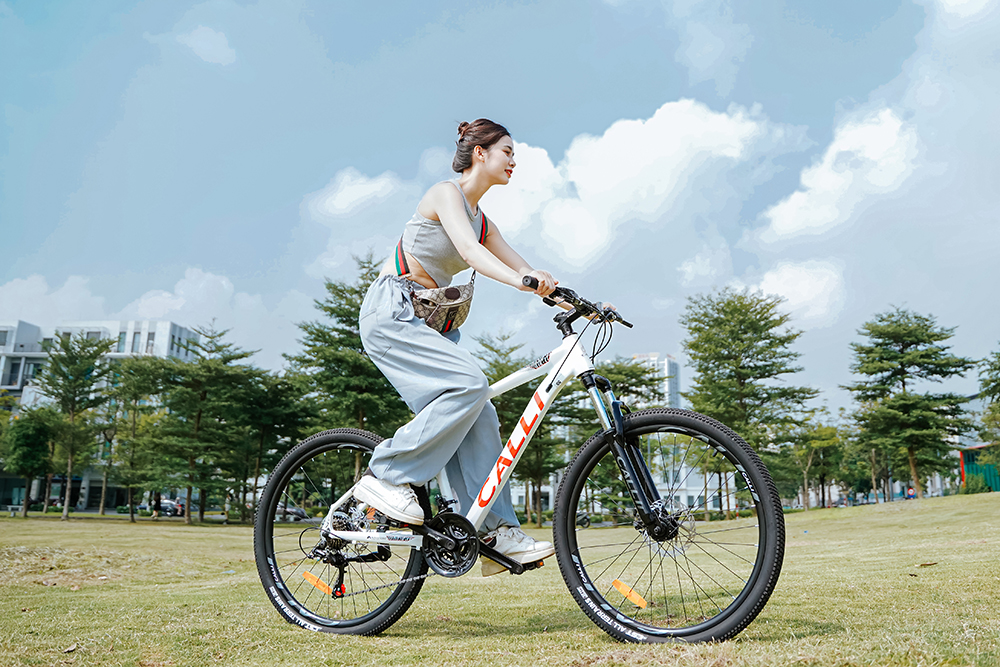 Xe đạp địa hình dưới 3 triệu có ưu nhược điểm gì?