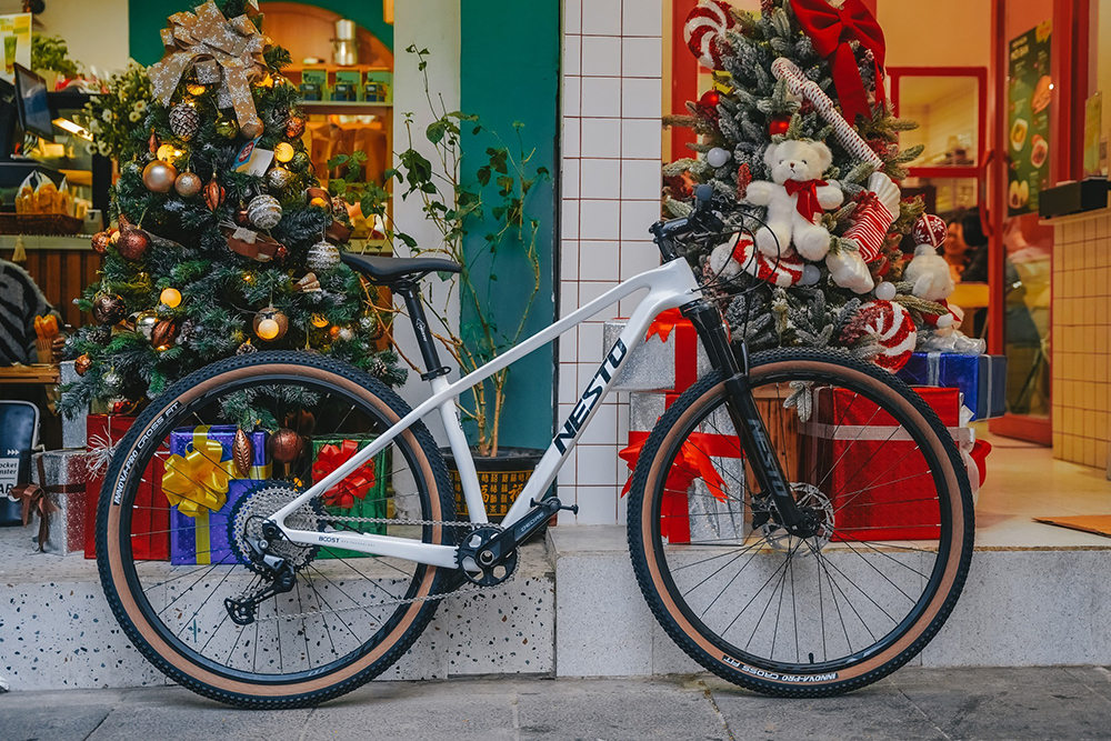 khung xe đạp địa hình thể thao NESTO TIGER