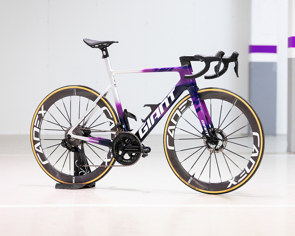 đặc điểm cấu tạo nổi bật