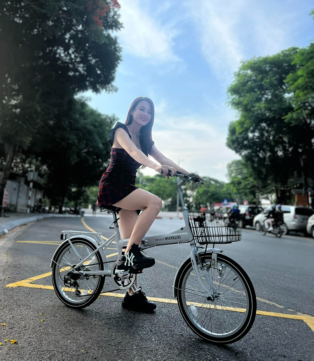 Xe đạp gấp (Folding Bike)