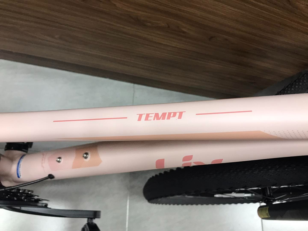 khung xe đạp địa hình thể thao LIV TEMPT 2 2023 