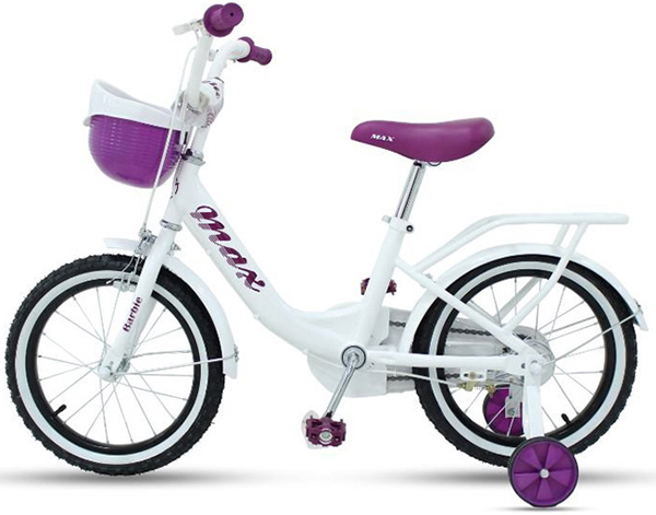  Xe đạp trẻ em MAX BARBIE - Giá bán tại Thể Thao 365: 1.990.000VNĐ