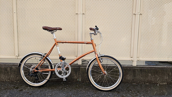 xe đạp gấp DAHON Calm 20