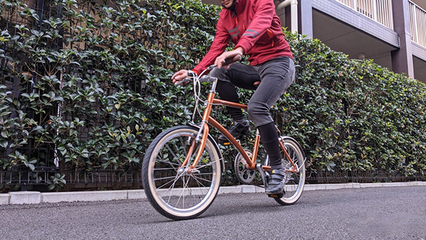 tổng quan xe đạp gấp DAHON Calm 20