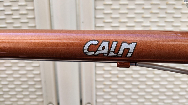 khung xe đạp gấp DAHON Calm 20