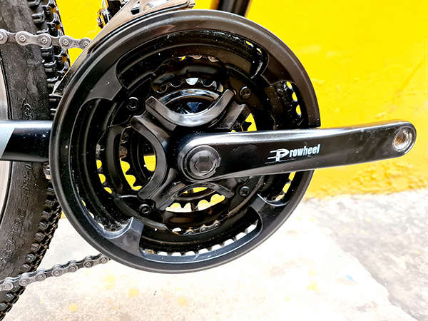 đùi đĩa xe đạp gấp DAHON EXPRESSO