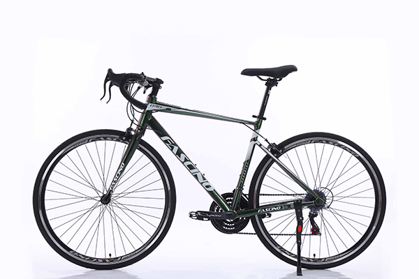 xe đạp đua Fascino 848 1